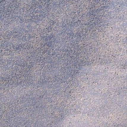 catsshtdec_1